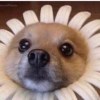 ?