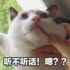 Blue_Cai