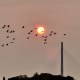 Sunset_Moon