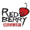 红色浆果乐团