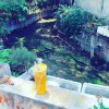 魚