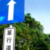 甯夢耘
