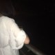 小心眼和壞脾氣