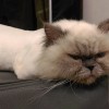 Boris的音樂實驗室