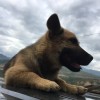 二两风
