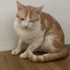 鈞君