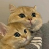 rhmilud_
