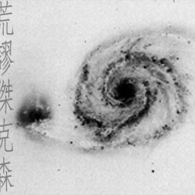 有棵樹