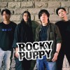 火箭小狗 Rocky Puppy
