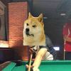 謝鎔羽