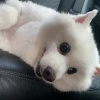 Abo