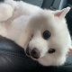 Abo