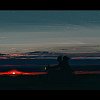 rough_bush_6ym