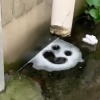 拜托请和我殉情