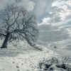 Cloudy Winter