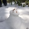 雪輪子