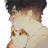 round_z_cat