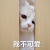 姜莳