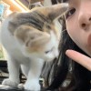 謀及