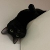 Mumu