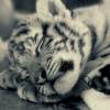 RERE
