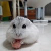 ruuu_12