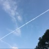 阿雞失眠