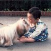 ryan_lai