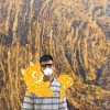 霍尼坦克