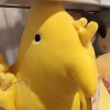 渡