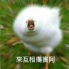marvin_letgo