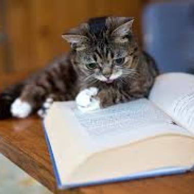 「悪貨」メインテーマ～Piano　Ver．