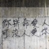 User923456