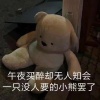 s_wing