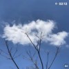 (ฅ´ω`ฅ)