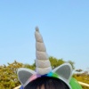 莎莉
