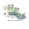 歸魚