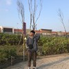 sam805141126