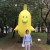 sandypeng2001