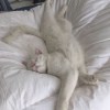 luo