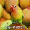 陳源宏