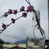 Chee En 琦恩