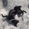 王煜松