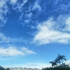 海豹