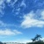 海豹