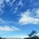 海豹