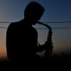 seedjazz