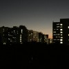 serendipity_0524
