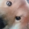 wu