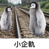 如果你也不願相信自己demo